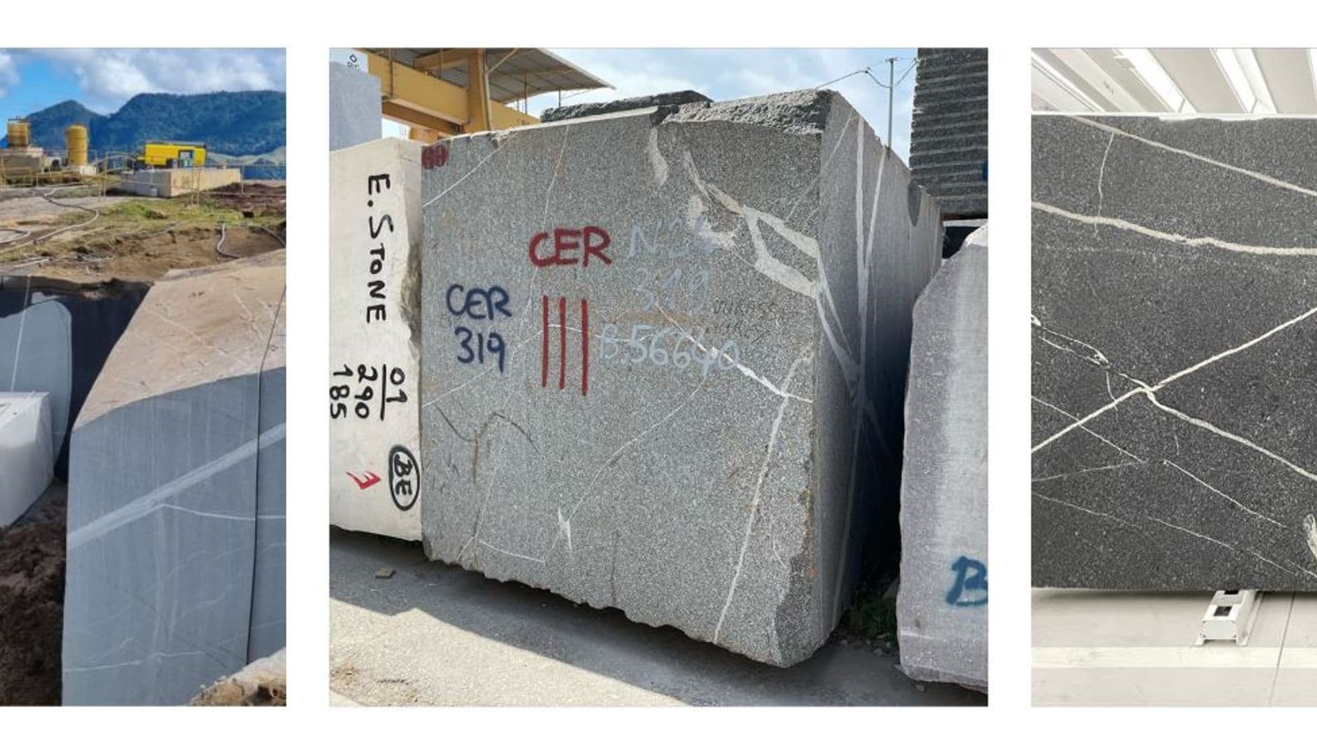 CERESER_Newsletter_JurassicGrey_3IMG(1).jpg