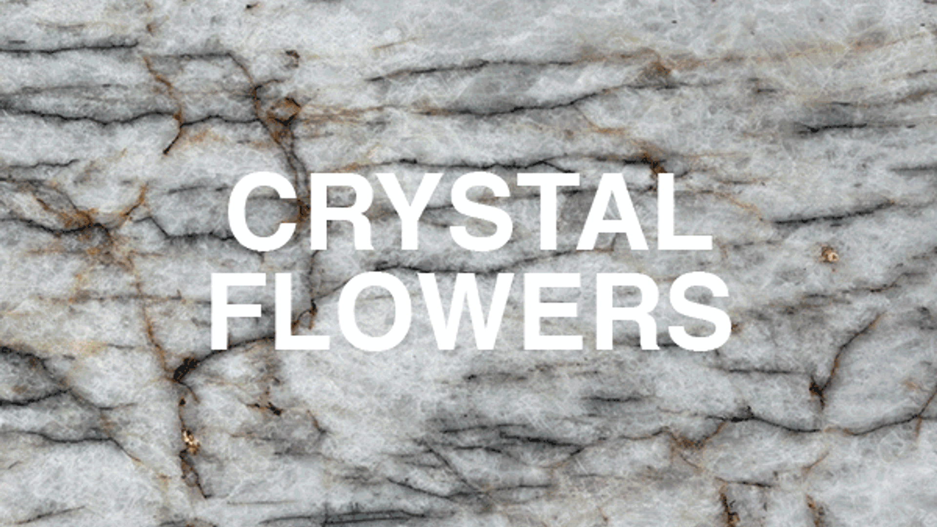 CRYSTAL-FLOWERS_Gif.gif