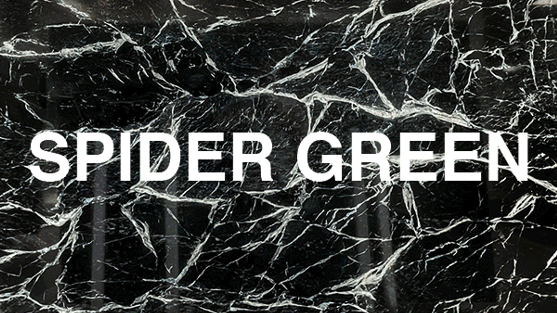 SPIDER_GREEN_GIF(1).gif