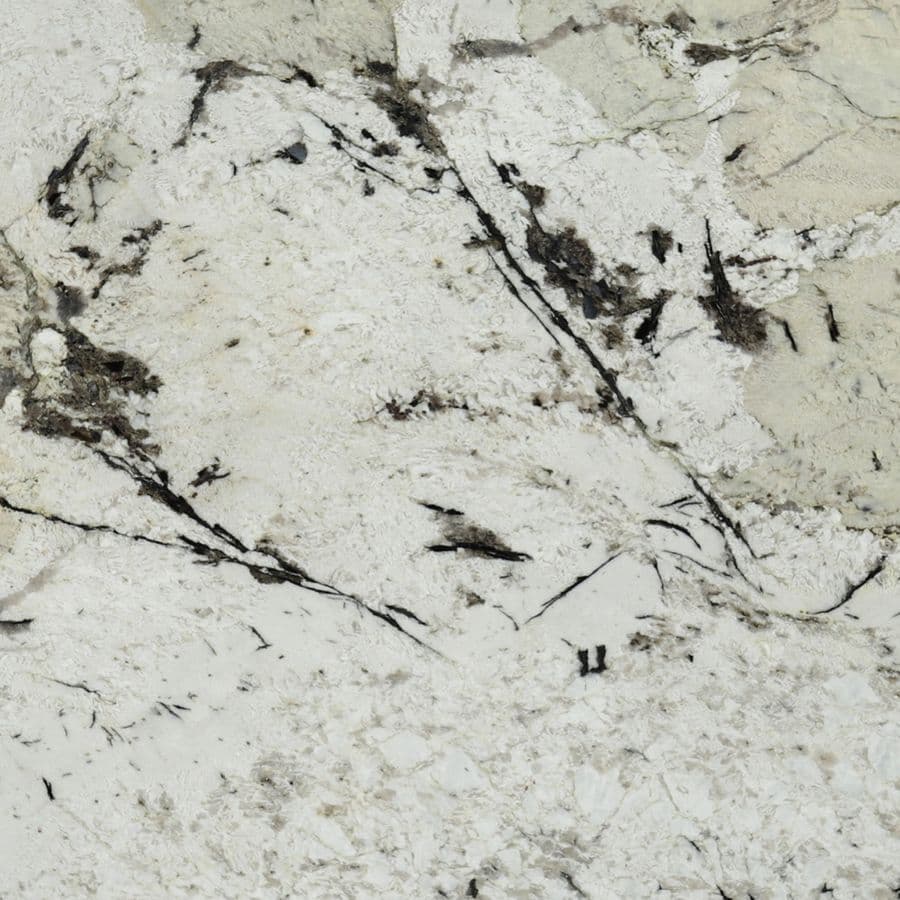 ALPINUS
