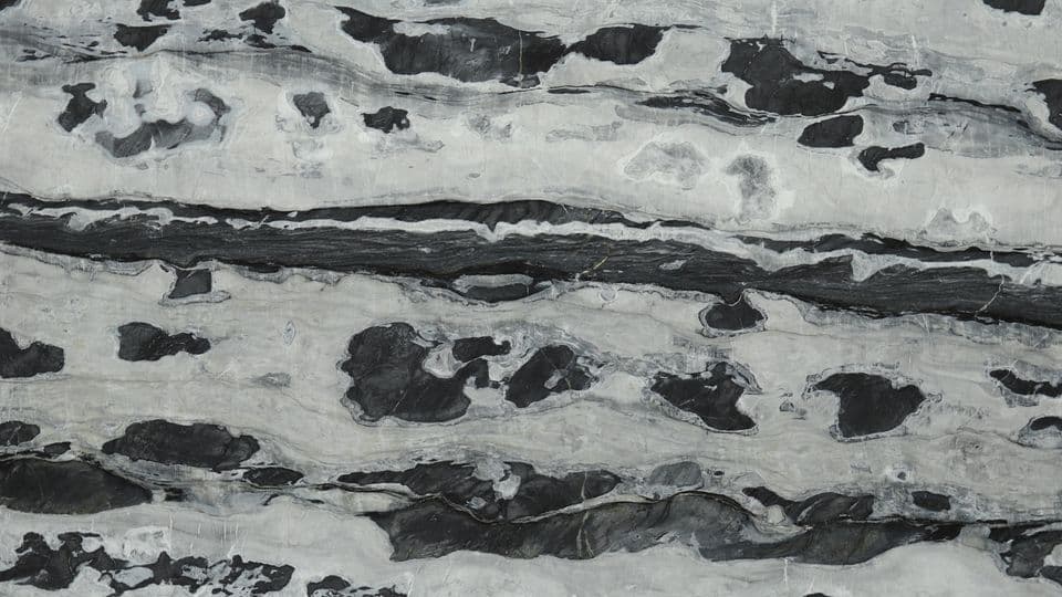 ARCTIC OCEAN