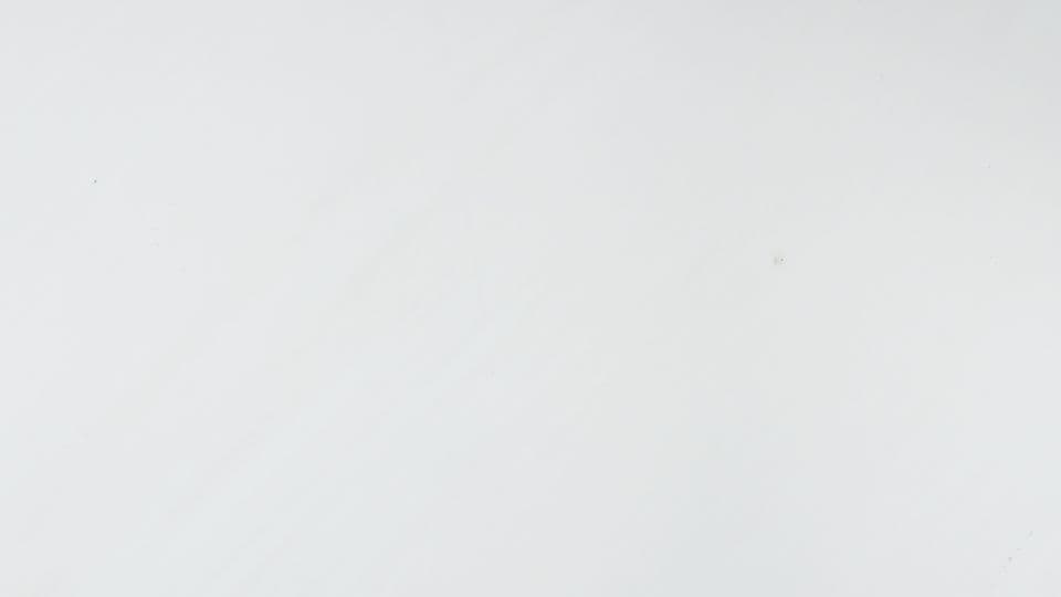 BIANCO SIVEC
