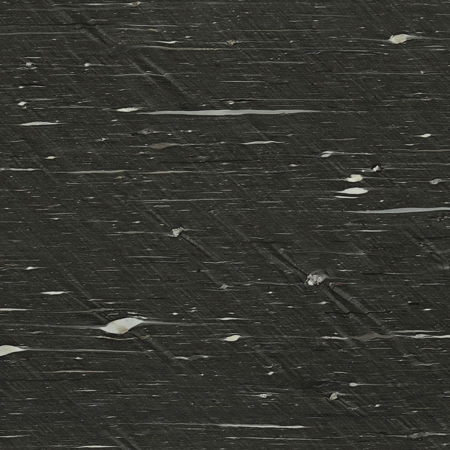 BLACK CYGNUS