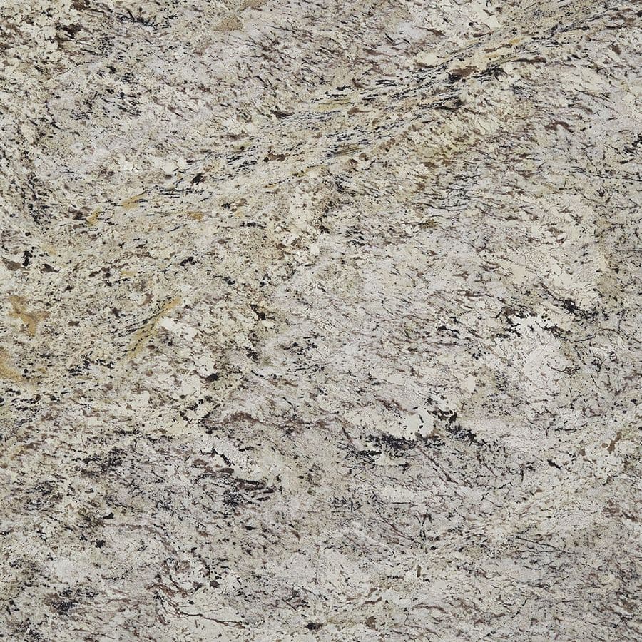 DELICATUS BROWN
