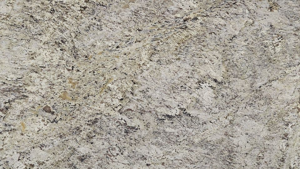DELICATUS BROWN