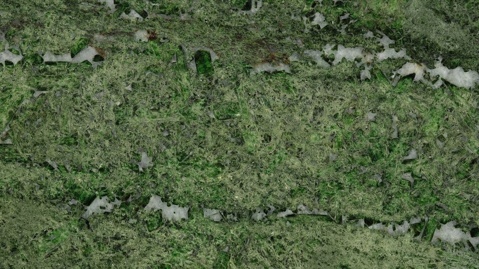 DIOPSIDE
