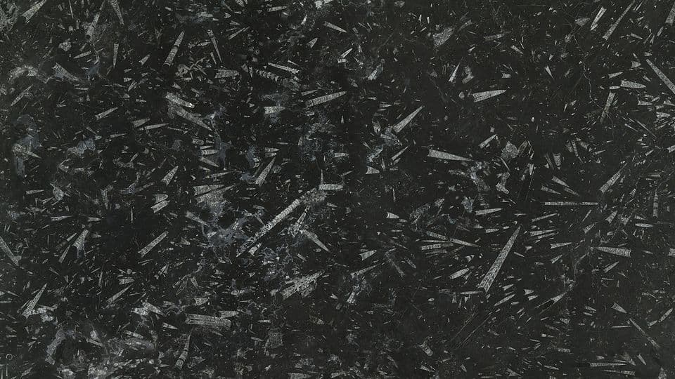 FOSSIL BLACK