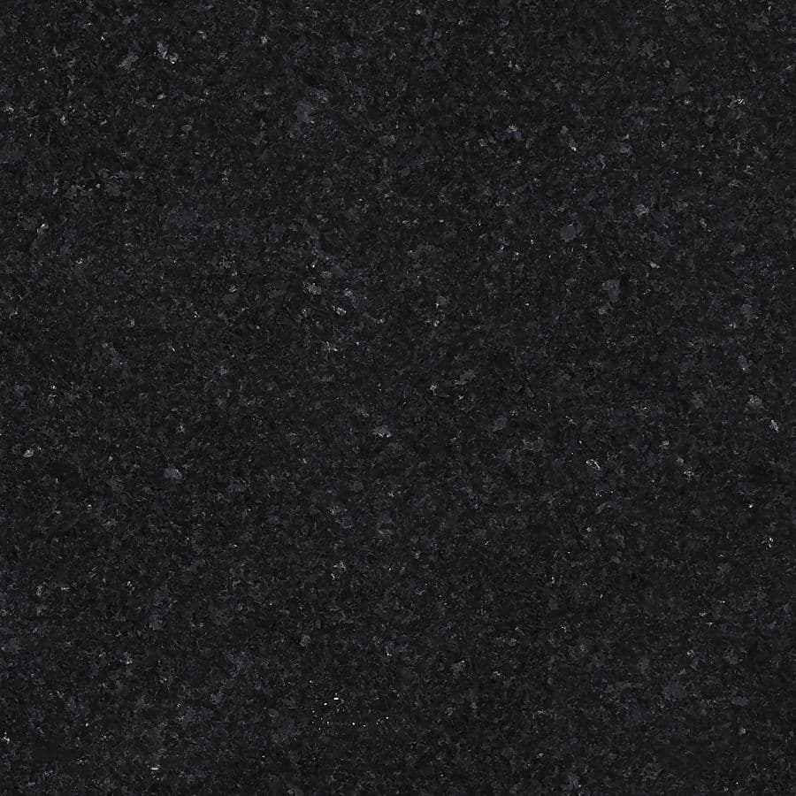 LABRADOR ANGOLA BLACK