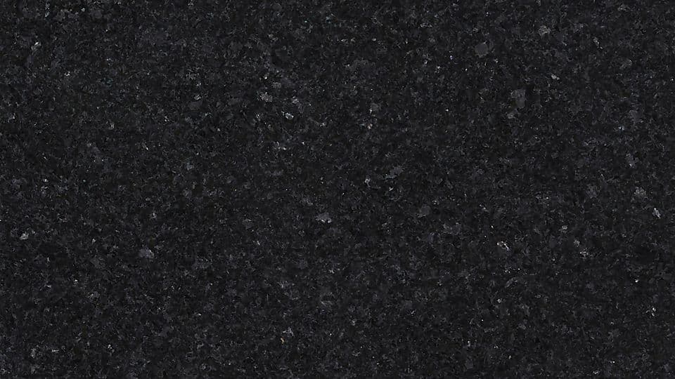 LABRADOR ANGOLA BLACK