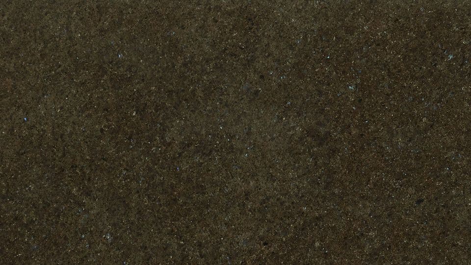 LABRADOR ANTIQUE