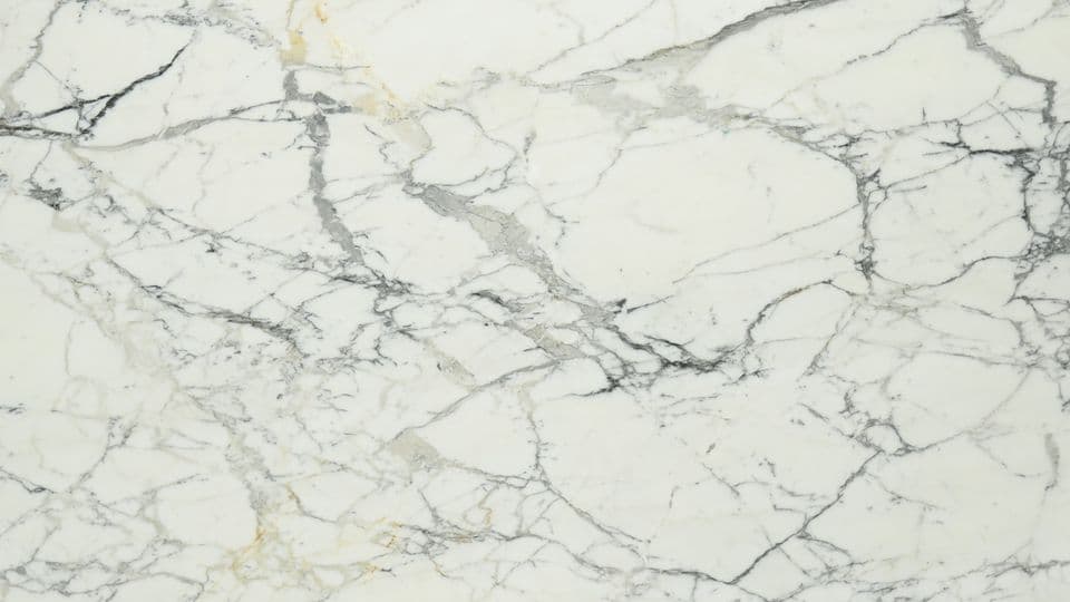 PAONAZZO BIANCO