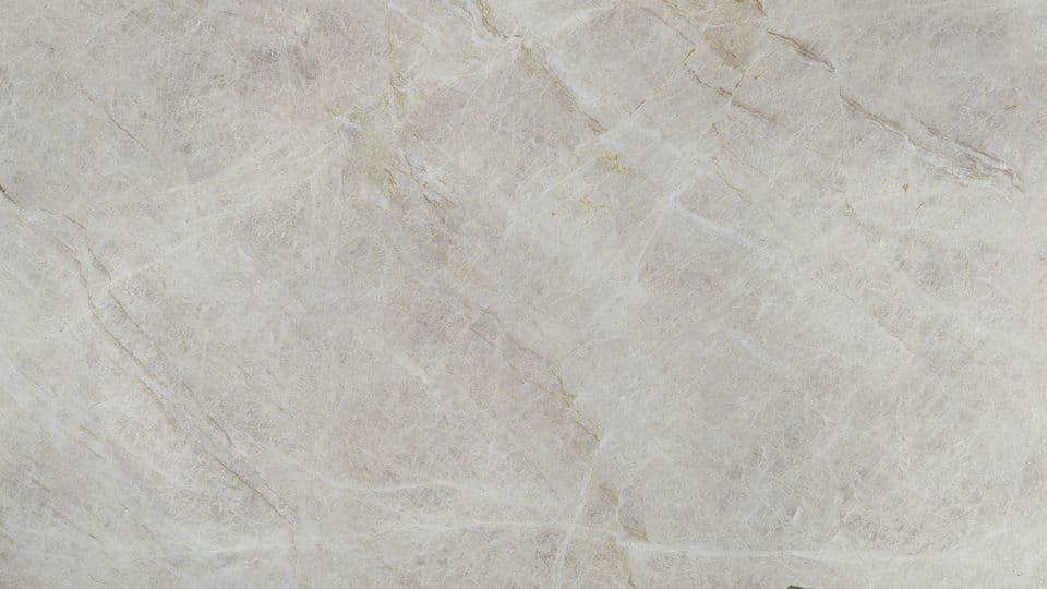PERLA VENATA