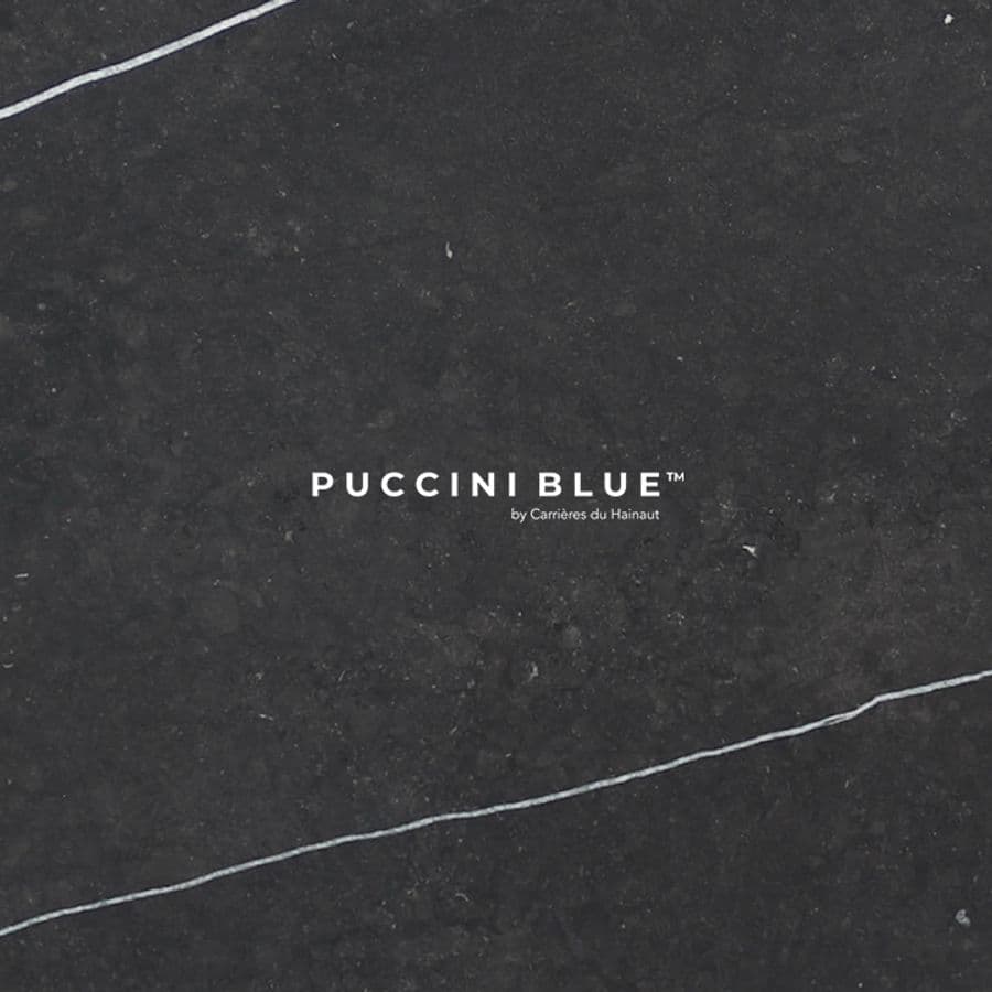 PUCCINI BLUE
