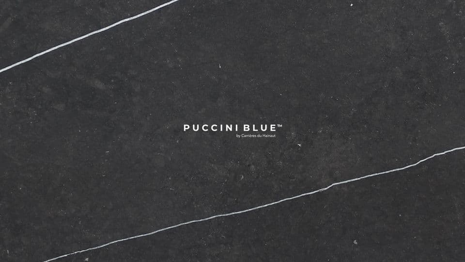PUCCINI BLUE