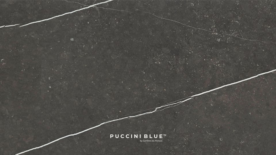 PUCCINI BLUE