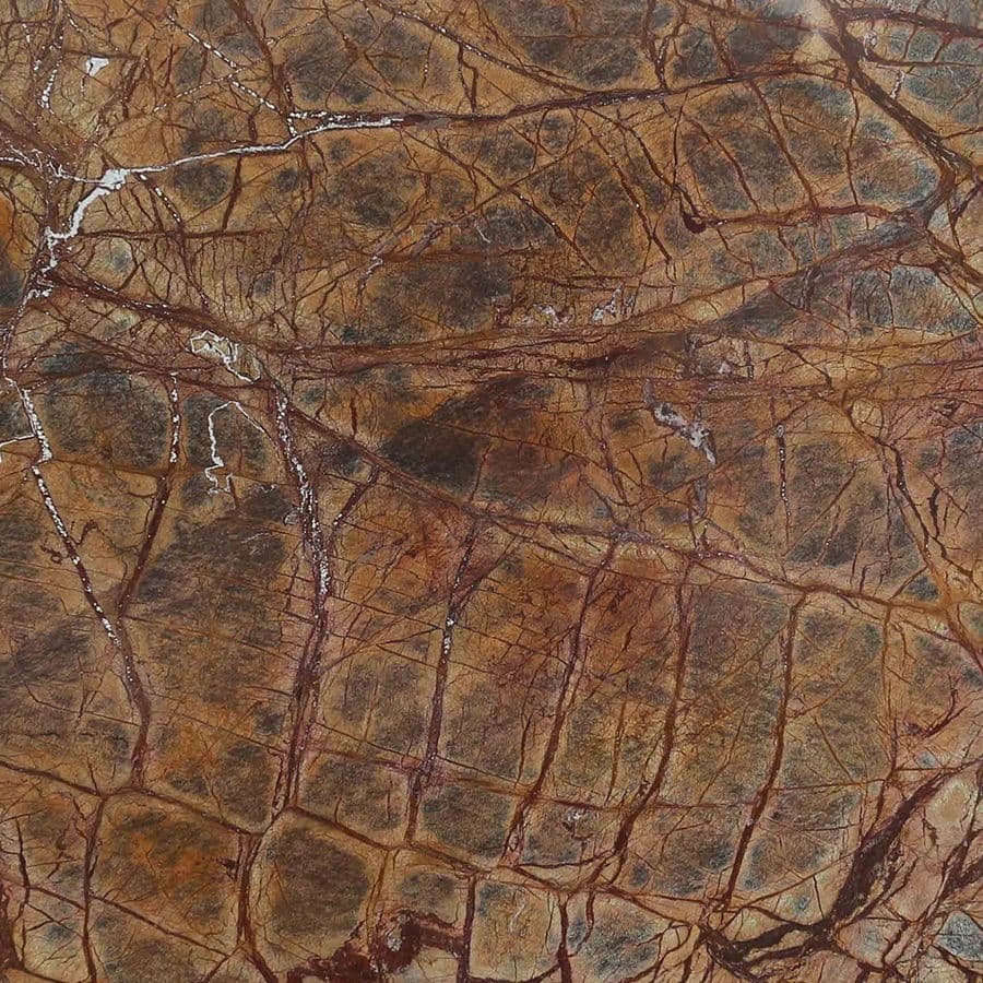 RAIN FOREST BROWN