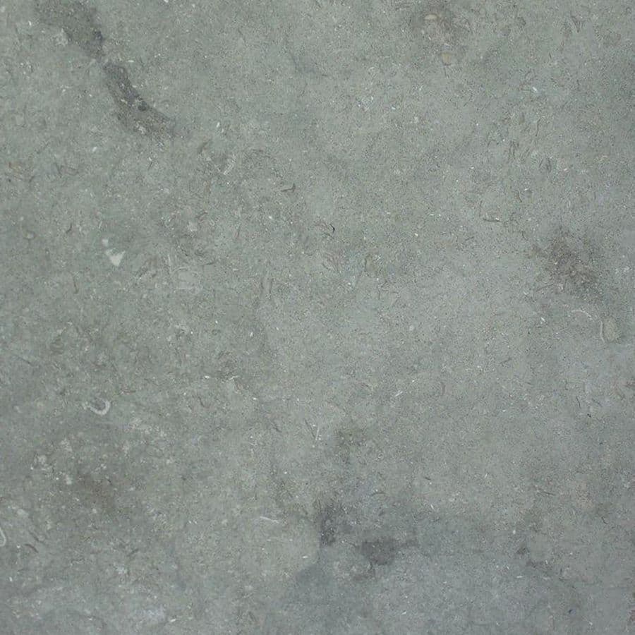 SEAGRASS