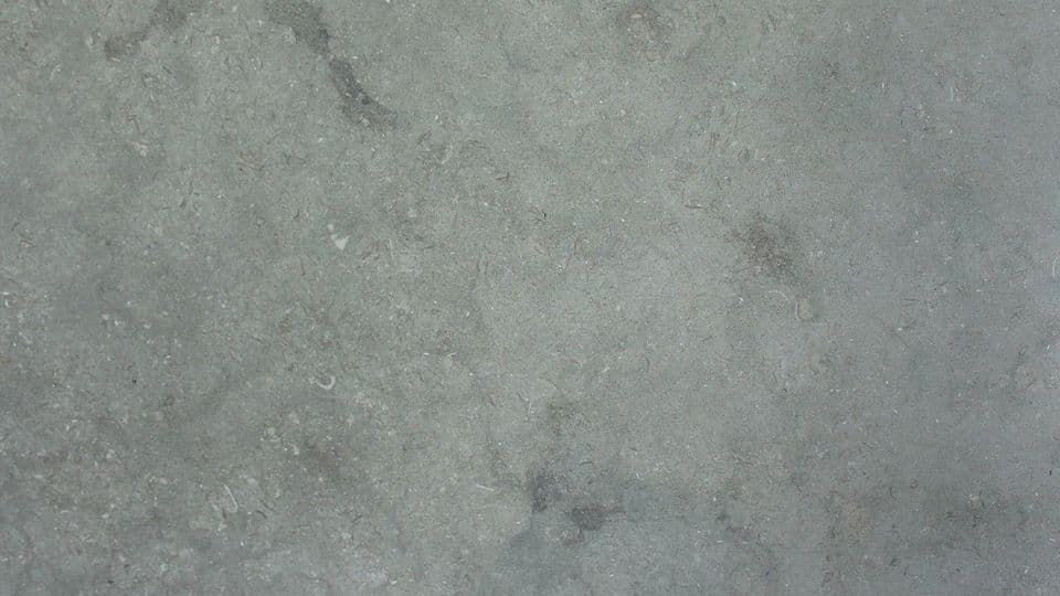 SEAGRASS