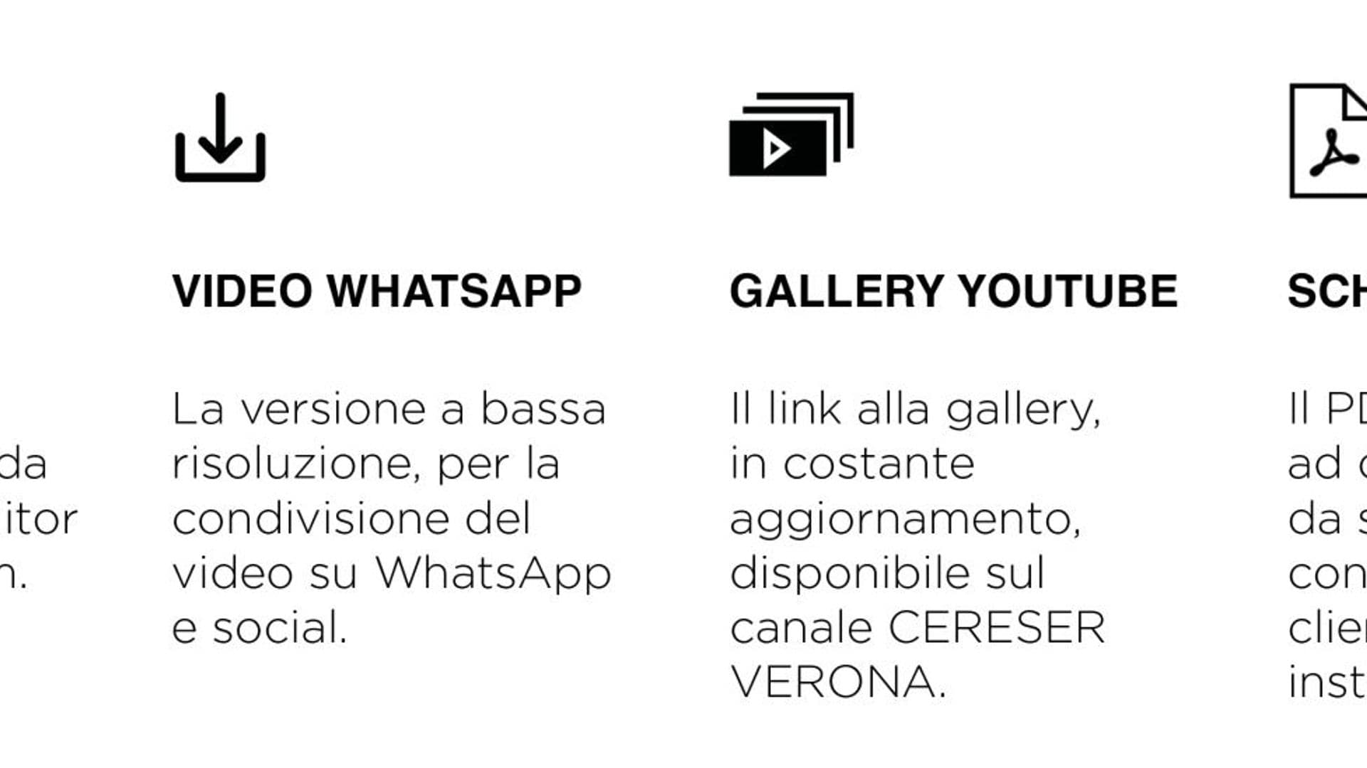 CERESER_Newsletter_ICONE.jpg