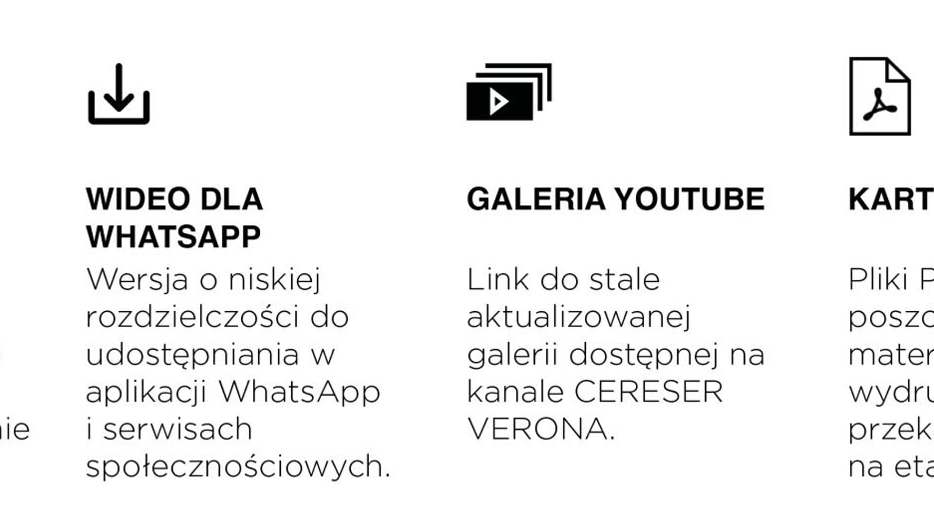 CERESER_Newsletter_ICONE_PL.jpg