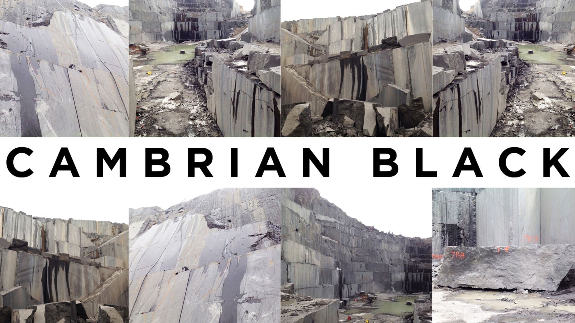 NEWS: CAMBRIAN BLACK