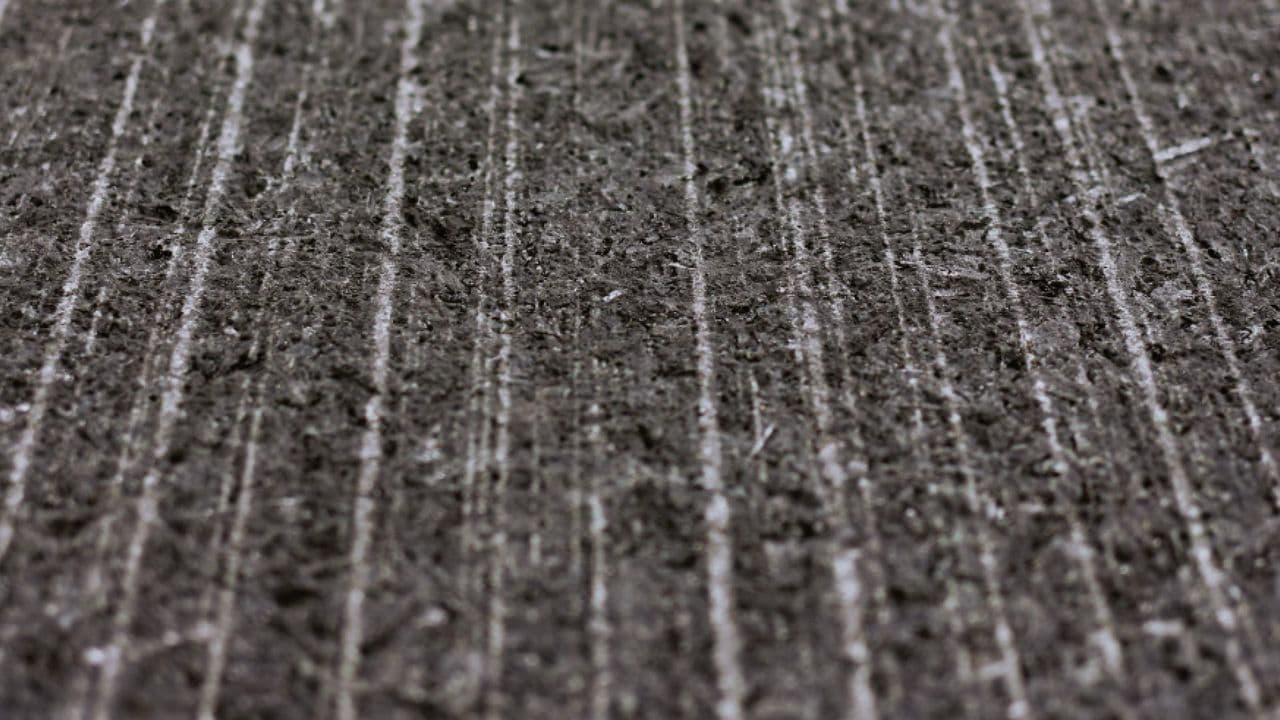 Corteccia