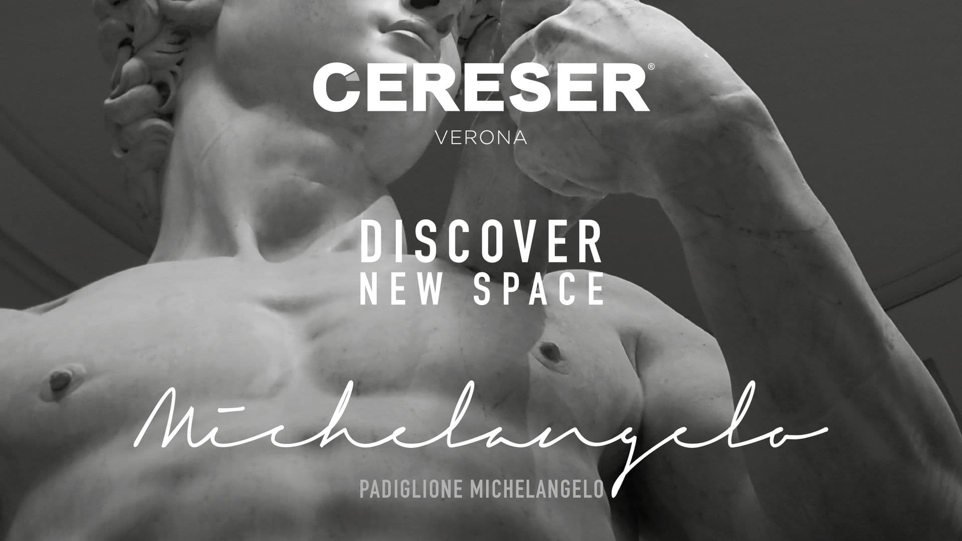 DISCOVER MICHELANGELO