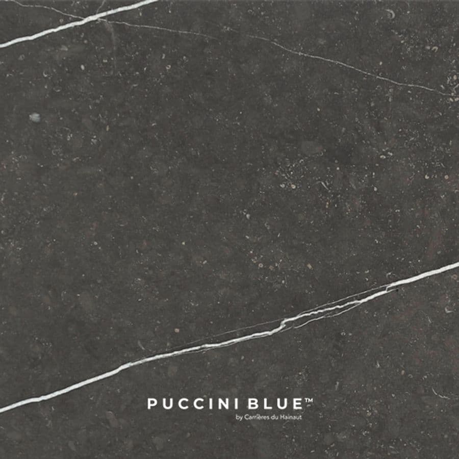 PUCCINI BLUE