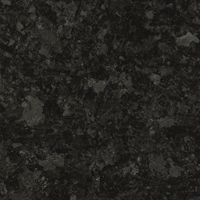 Labrador Angola Black