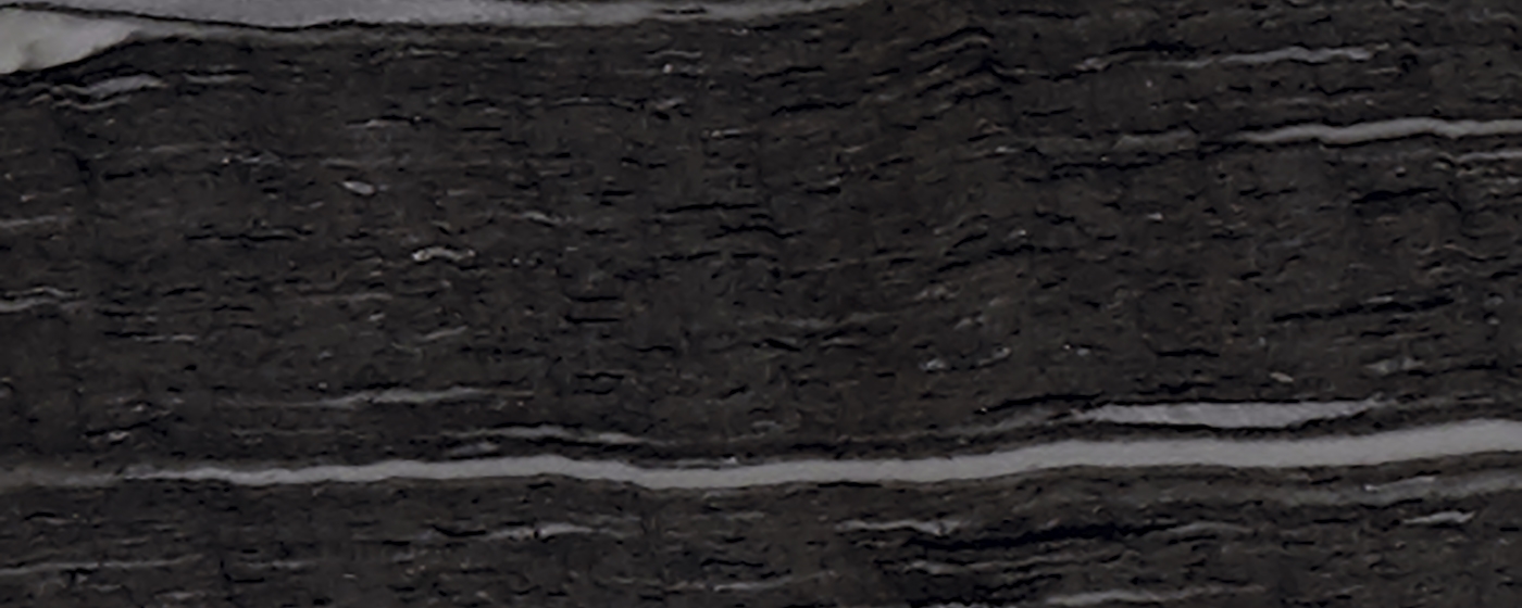 mn_G135_BLACK_CIGNUS