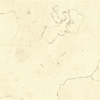 Perlino Bianco (Al Verso)