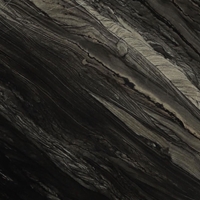 Black Tempest Quartzite