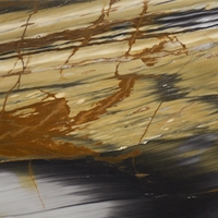 Calacatta Capolavoro