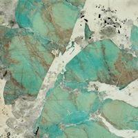 Amazonite Celebrity Perfetto