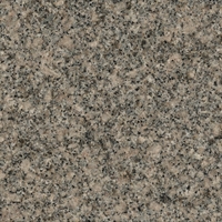 Bohus Grey