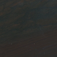 Elegant Brown