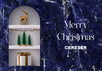 ns_CERESER_Newsletter_Natale2022_20221220_A